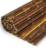 Bambou nigra 180x180cm